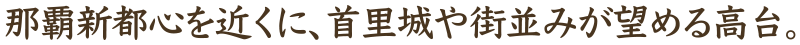 那覇新都心を近くに、首里城や街並みが望める高台。